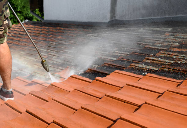  Mlstadt, IL Pressure Washing Pros