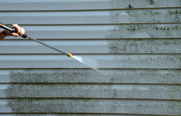 Best Affordable Pressure Washing  in Mlstadt, IL