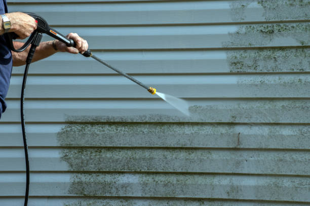 Pressure Washing Services for Businesses in Millstadt, IL