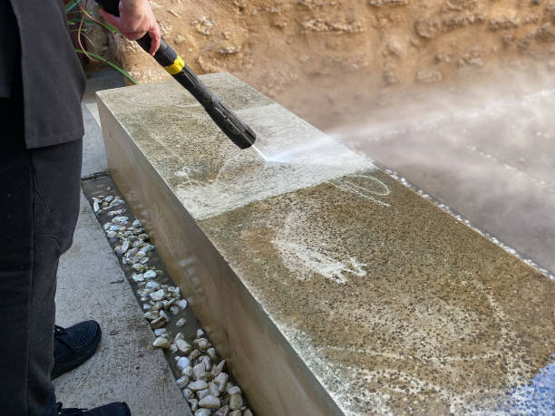 Best Roof Power Washing Services  in Mlstadt, IL