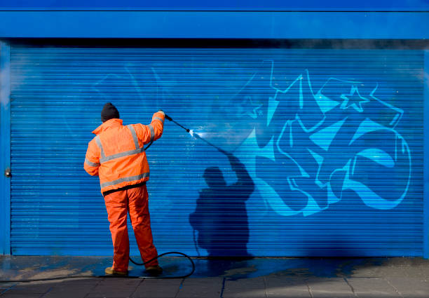 Best Residential Pressure Washing Services  in Mlstadt, IL