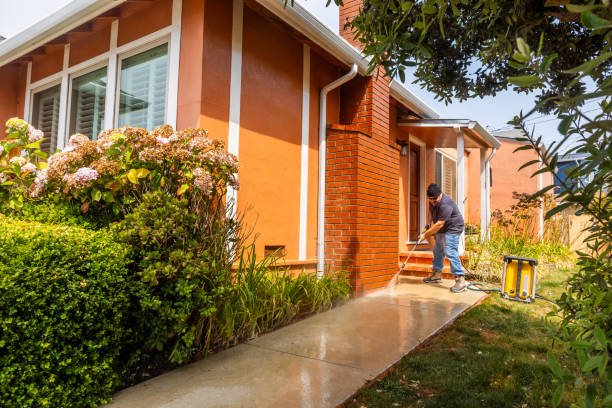 Best Commercial Building Pressure Washing  in Mlstadt, IL
