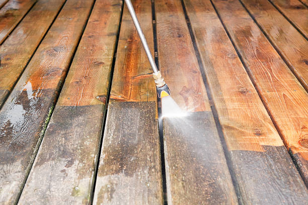 Best Roof Pressure Washing  in Mlstadt, IL