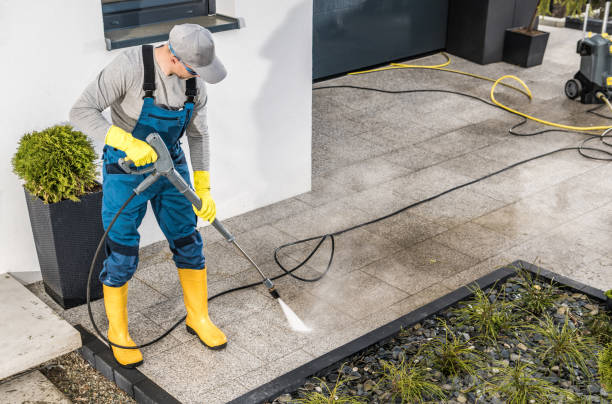 Best Deck Cleaning Services  in Mlstadt, IL