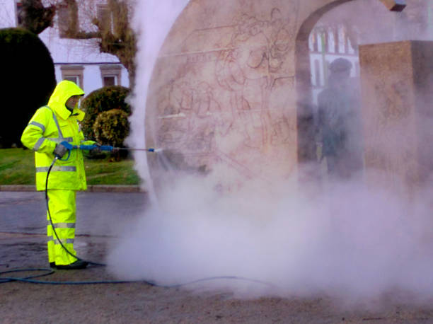 Best Exterior Home Cleaning  in Mlstadt, IL