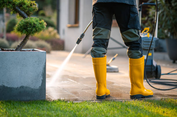 Best Best Pressure Washing Companies  in Mlstadt, IL
